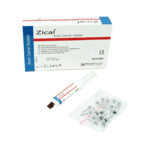 Prevest Denpro Zical Automix Root Canal Sealent Syringe 1