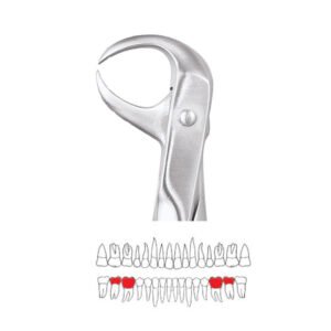 GDC Extraction Forceps Lower Molars - 86 Standard (FX86S)
