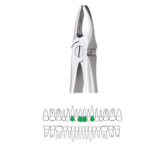 GDC Extraction Forceps Upper Anteriors - 1 Premium (FX1P)