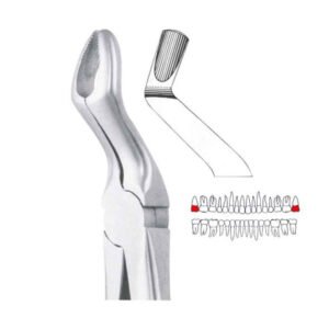 GDC Extraction Forceps Upper Third Molars - 67a Standard (Fx67as)