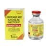 Lignocaine and Adrenaline injection for dental anaesthesia and pain relief.